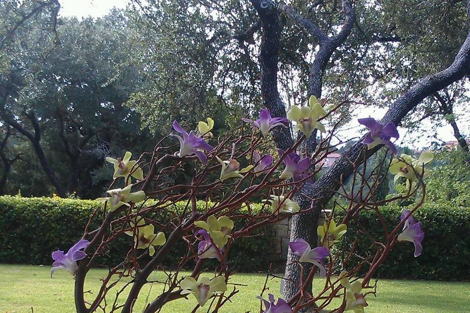 Branch decor