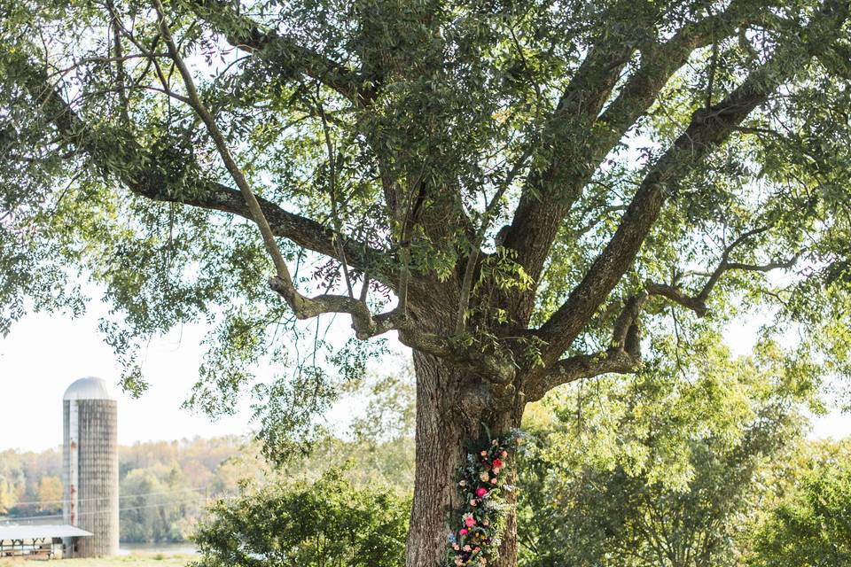 Shade Tree Ceremony Site