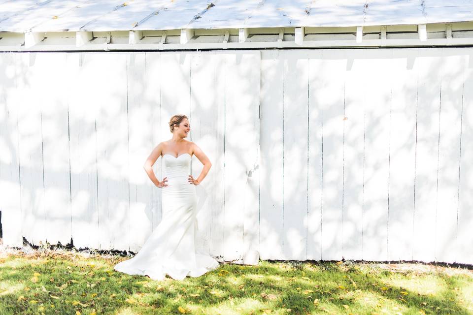 Bridal Portraits