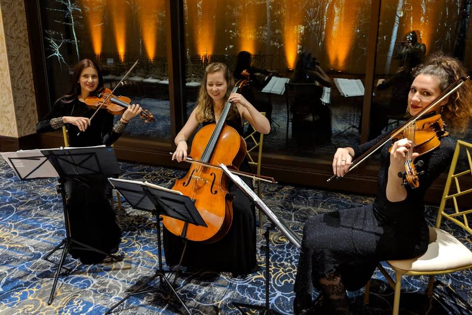 String Trio