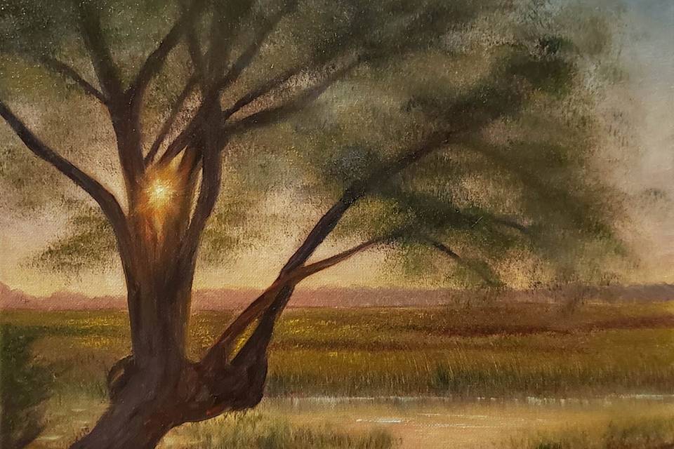 Sunset Oak: Folly River