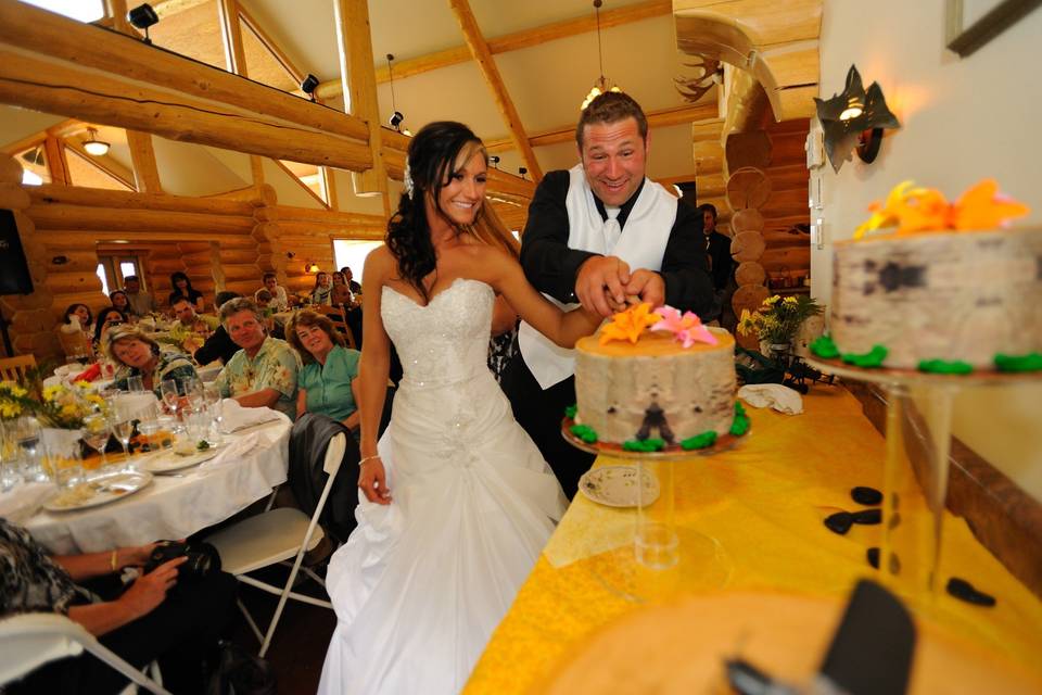 Cake cutting