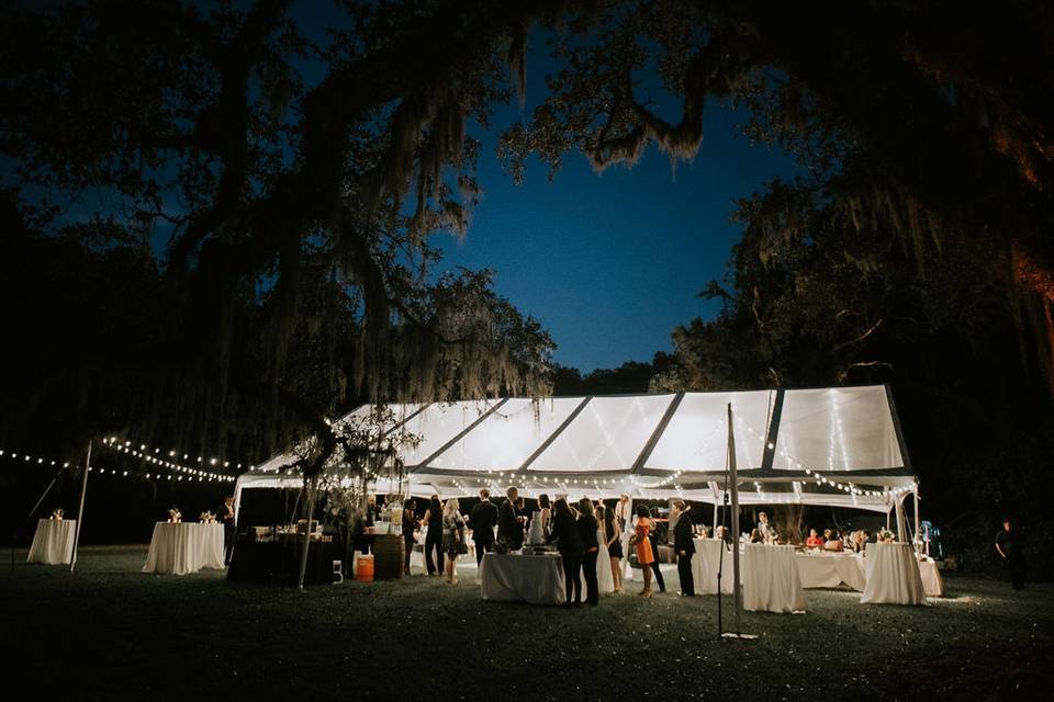 Clear Top Tent + Bistro Light