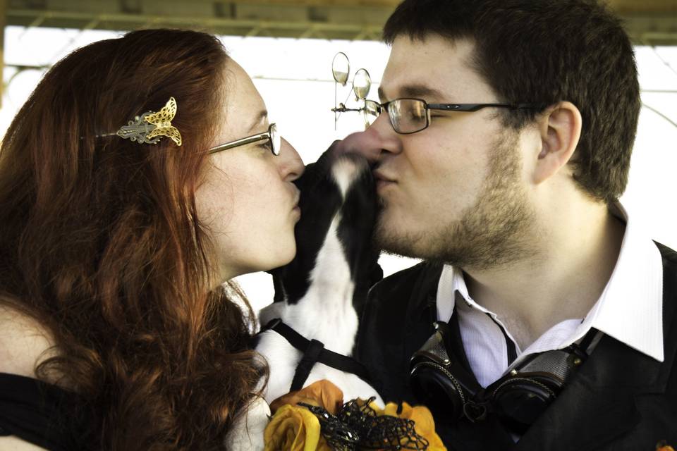 Sarah Shafer Photography