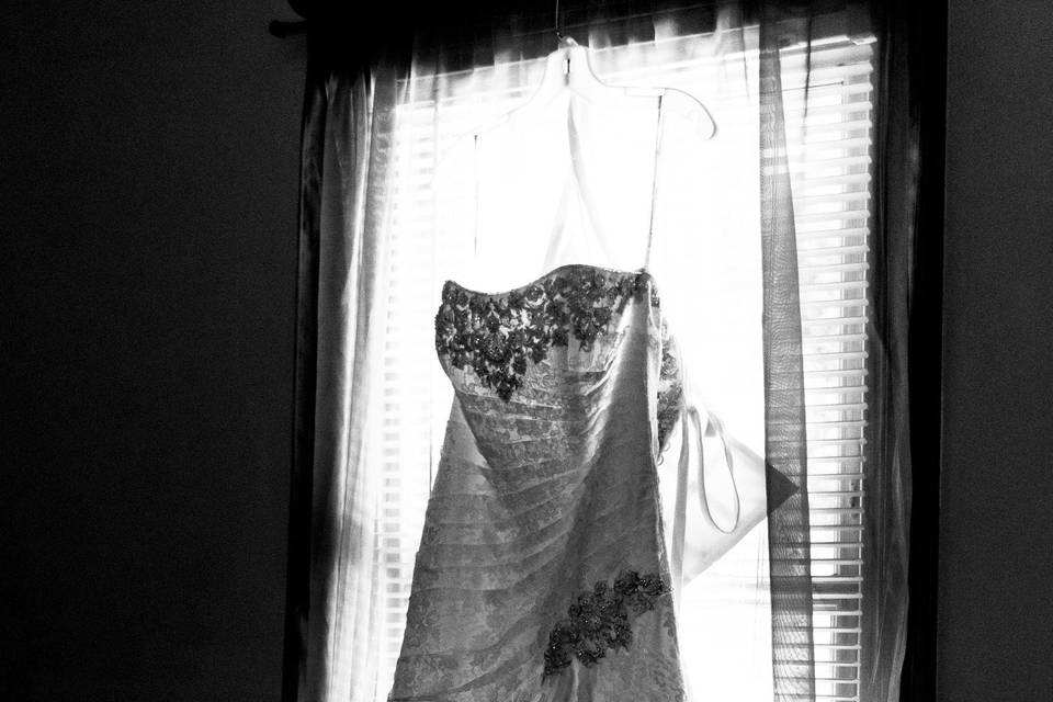 Sarah Shafer Photography