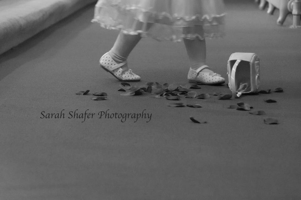 Sarah Shafer Photography