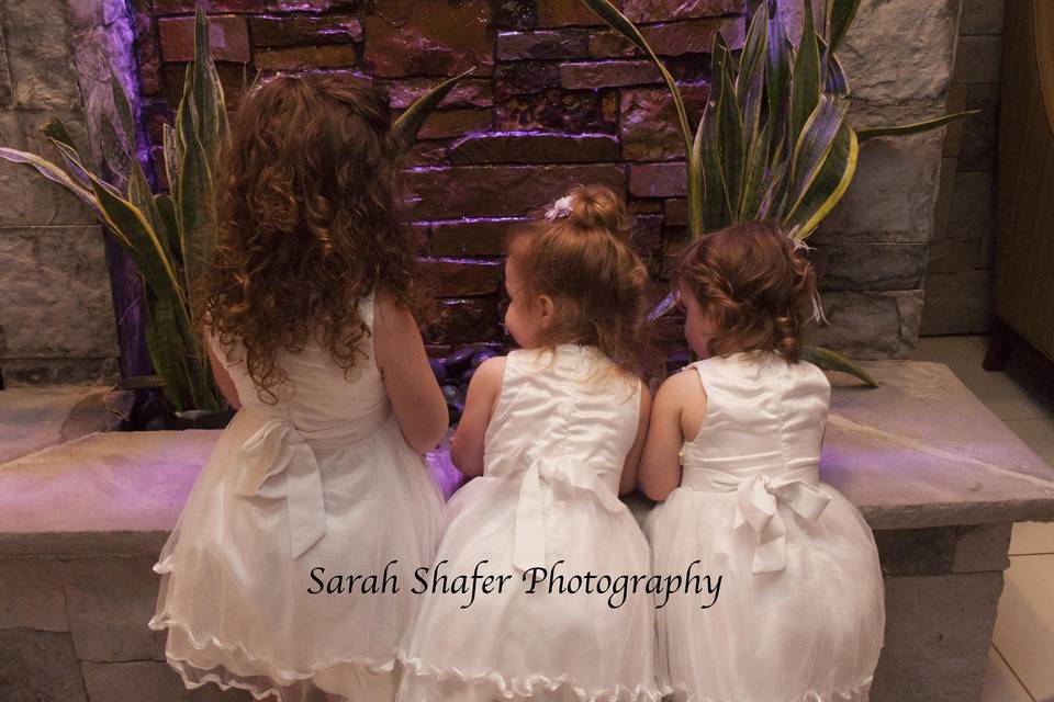 Sarah Shafer Photography