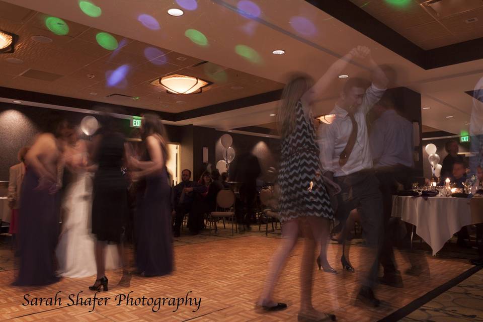 Sarah Shafer Photography