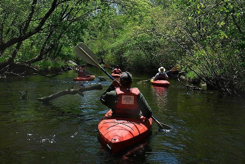 Trout fishing down the Tellico River