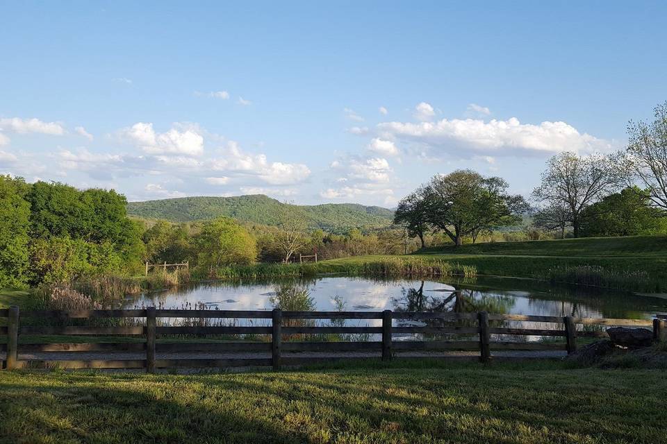 Mountain/pond view on a sunny spring evening