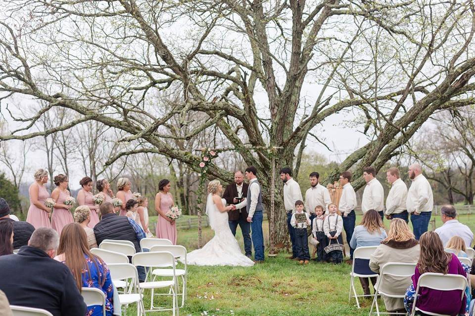 Another outdoor ceremony location, underneath the huge tree, with the pond in the background