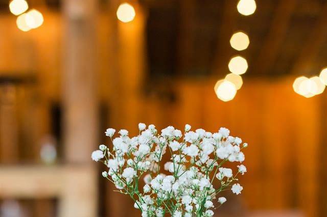 Wooden slices to use for centerpieces