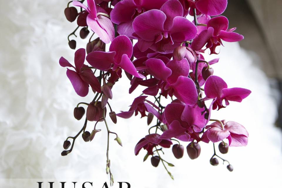 Orchid bouquet