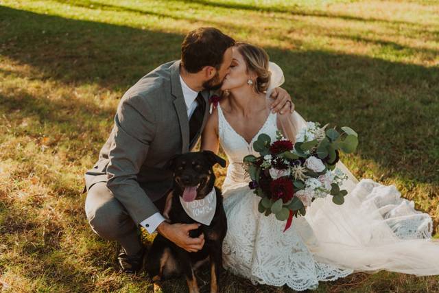 Puppy Ring Bearer