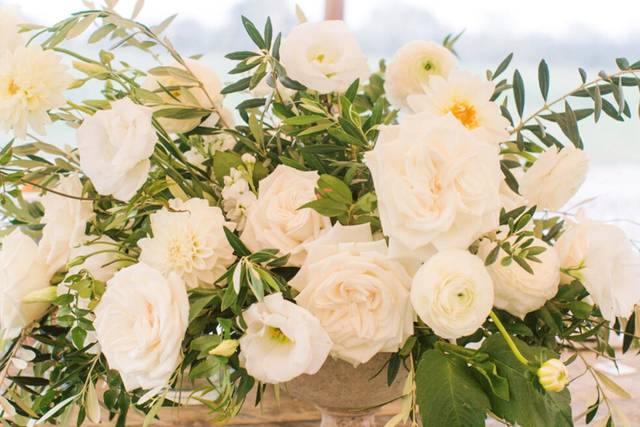 White Roses Summer Larchmont