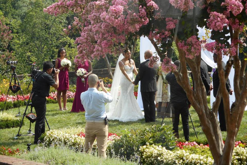 Wedding ceremony under the blooming tree
