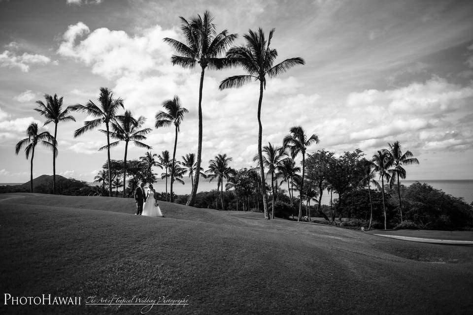 PhotoHawaii, Inc.