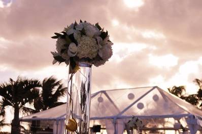 Amr weddings & events coordination