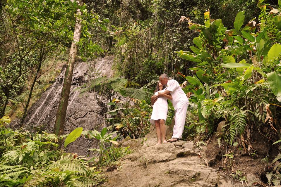 Tropical forest wedding