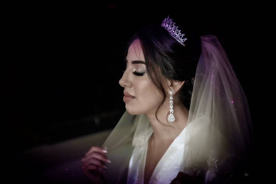 Sparkling bride