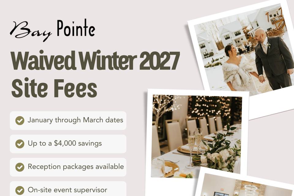 Winter Wedding Special