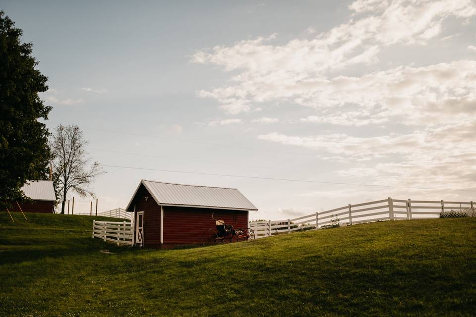 The horse barn