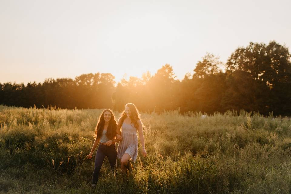 Sunset in the pasture