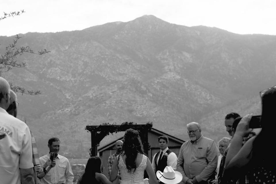 Northern Nevada Wedding