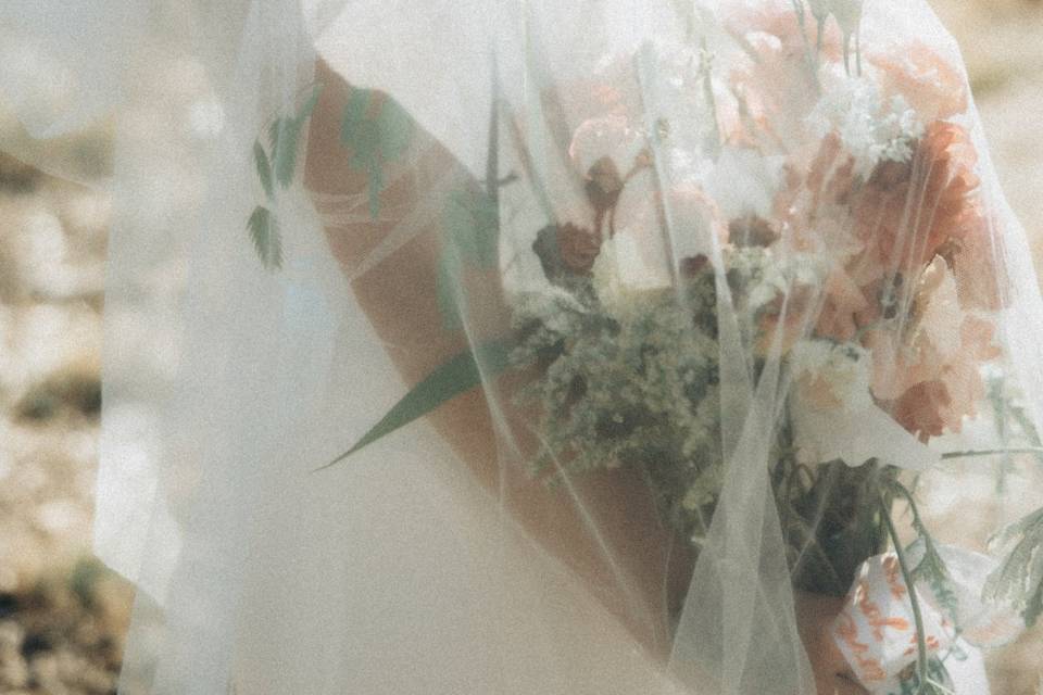 Bride under veil