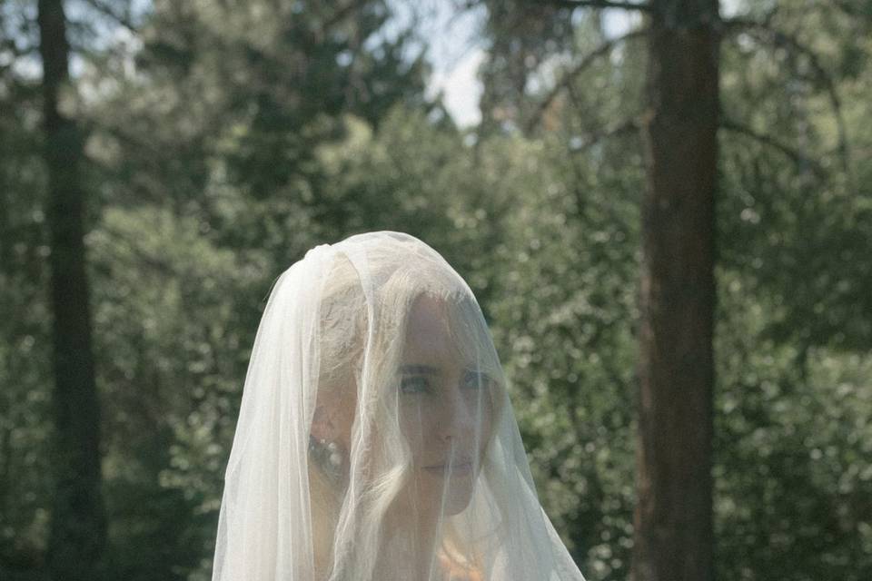 Bride veil portrait