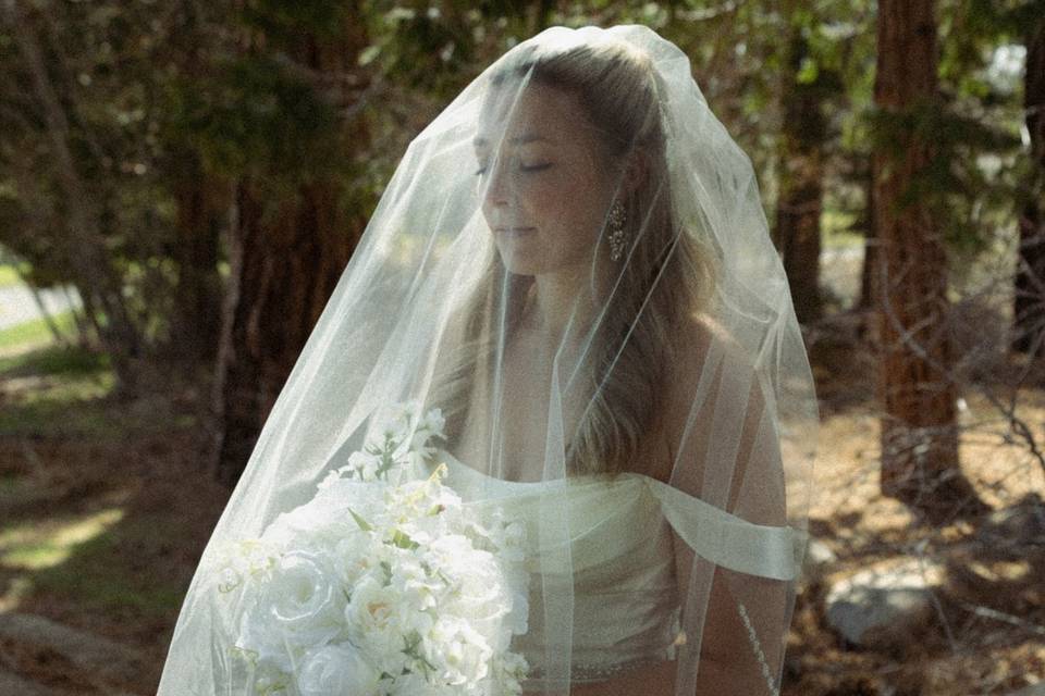 Lake Tahoe Bride Veil Forest