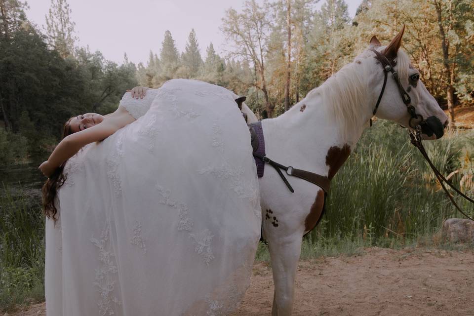 Bride on Horse Wedding
