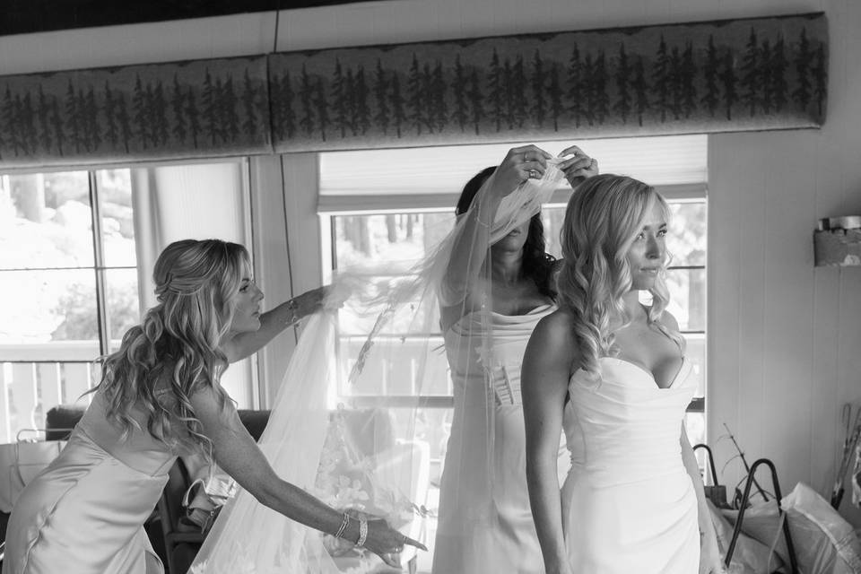 Bridesmaids bride with veil