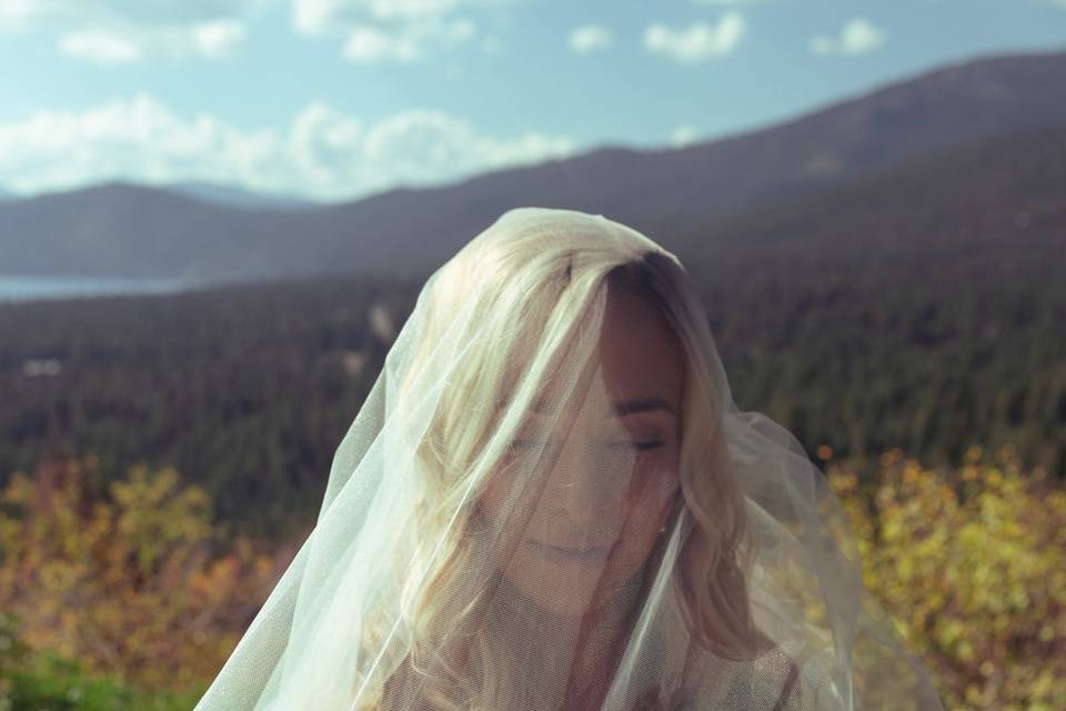 Bride veil bouquet portrait