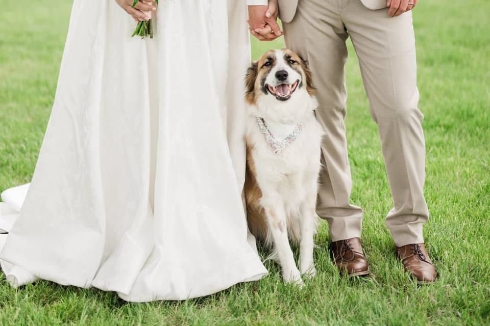 Kensie Wallner Photography