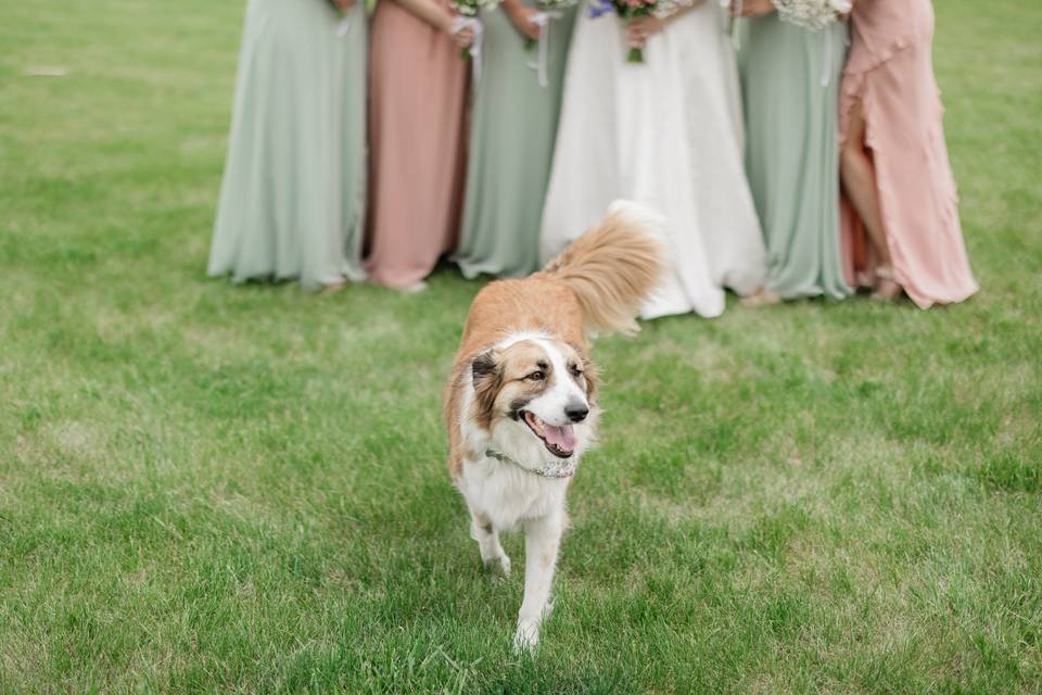 Kensie Wallner Photography