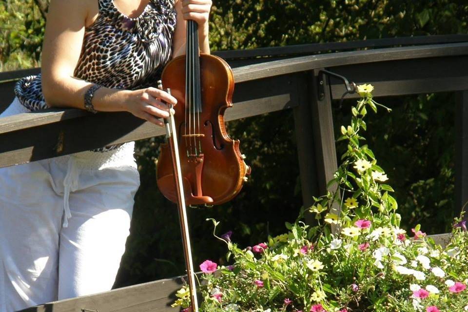With the violin