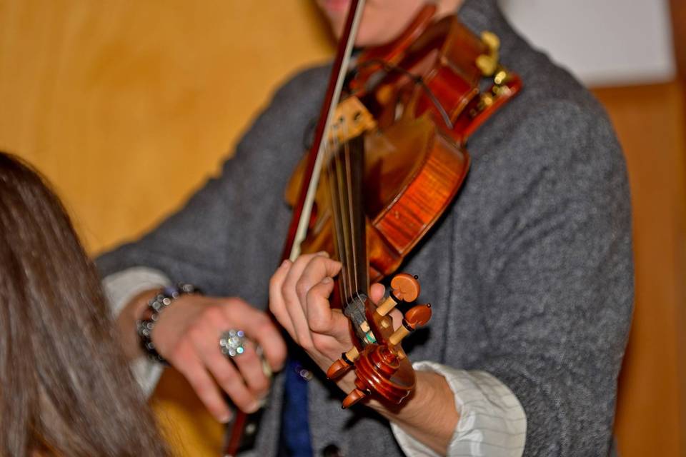 Violin