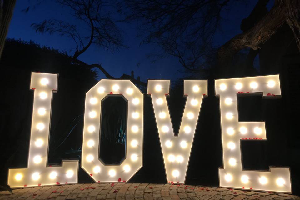 Light up marquee LOVE letters. Personalize these letters with flowers, or any accessories