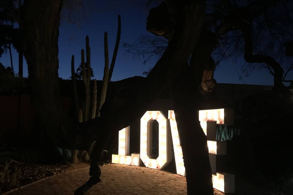 Light up marquee LOVE inbwteen the trees giving this darker spooky feel.