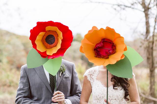 Flower faces