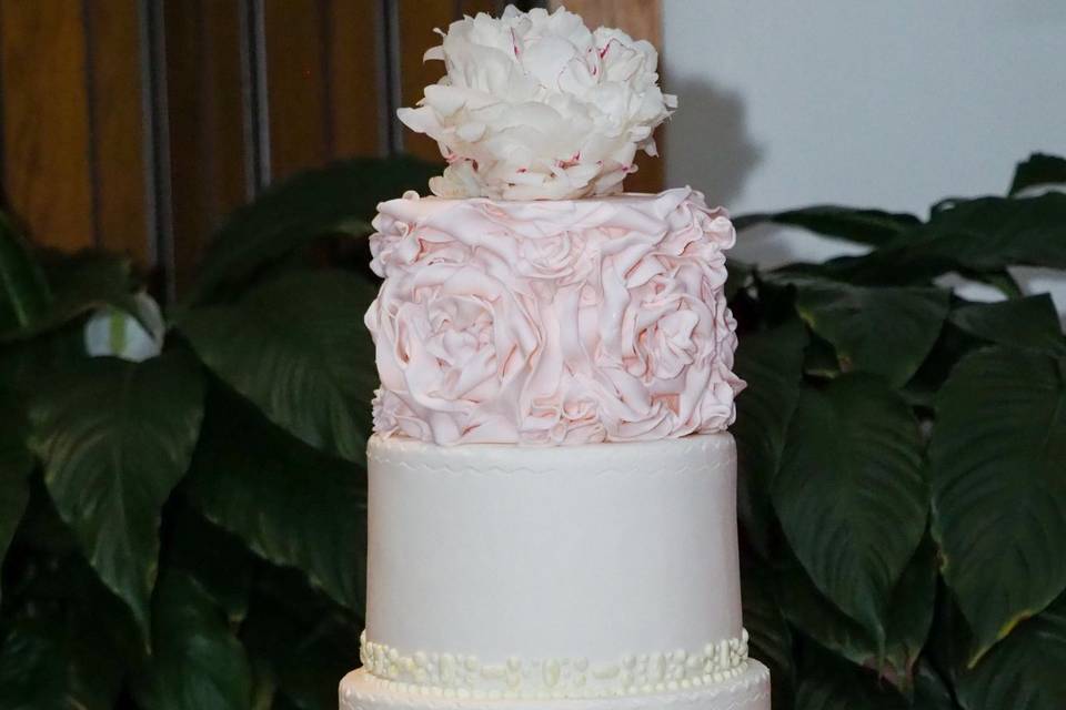 Pretty Modern Cake