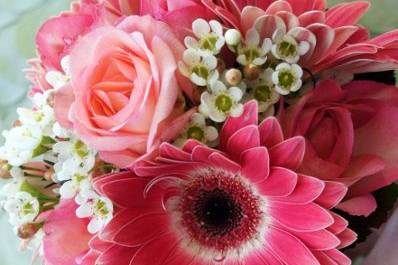 Soderberg's Floral & Gift