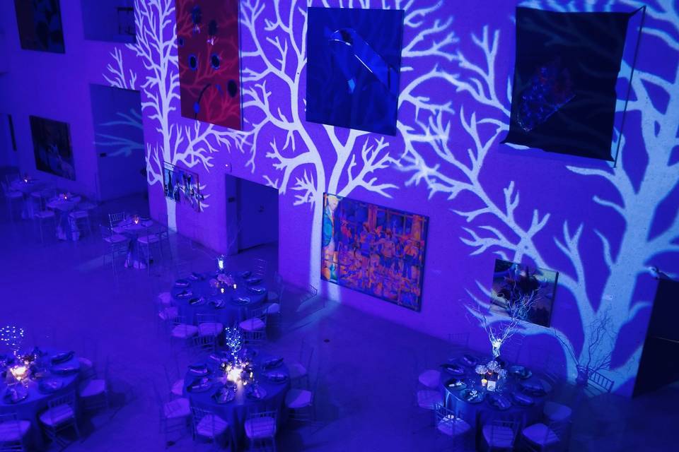 Texas State Aquarium Lighting