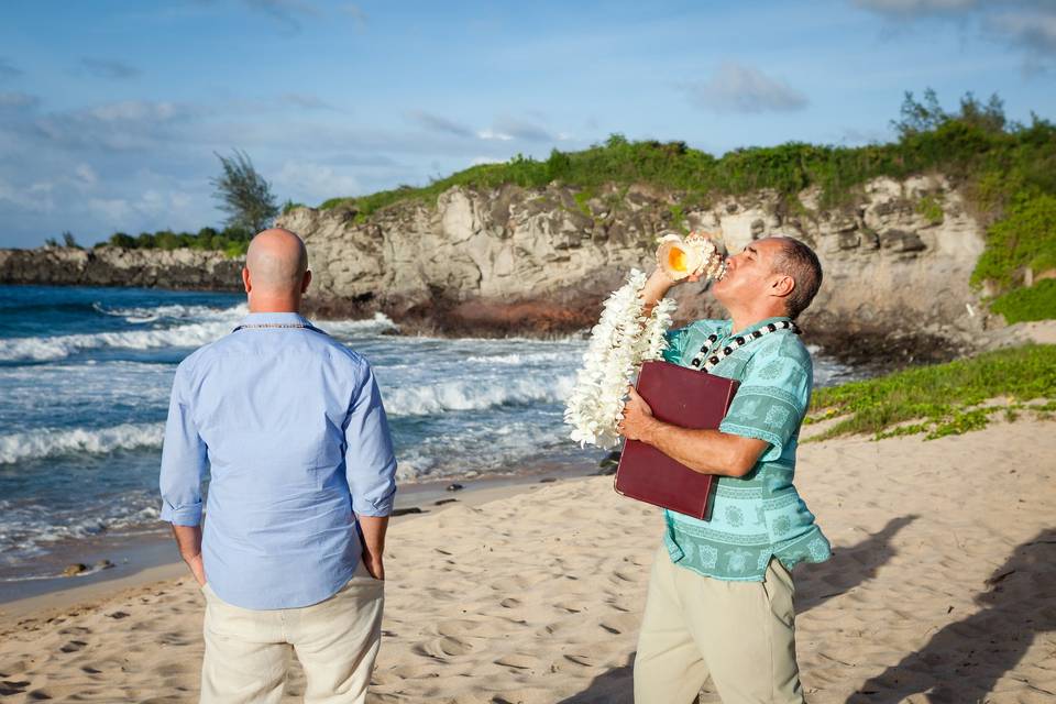 Hawaiian wedding experience