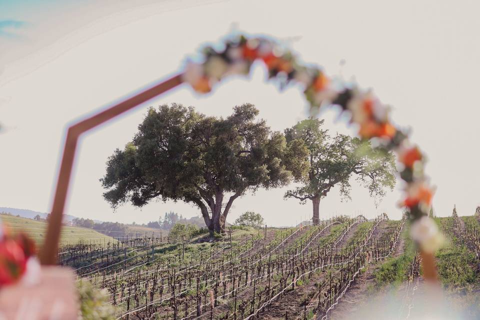 Outdoor Ceremony Space