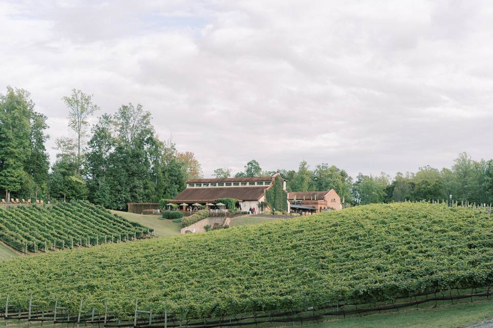 Potomac Point Winery