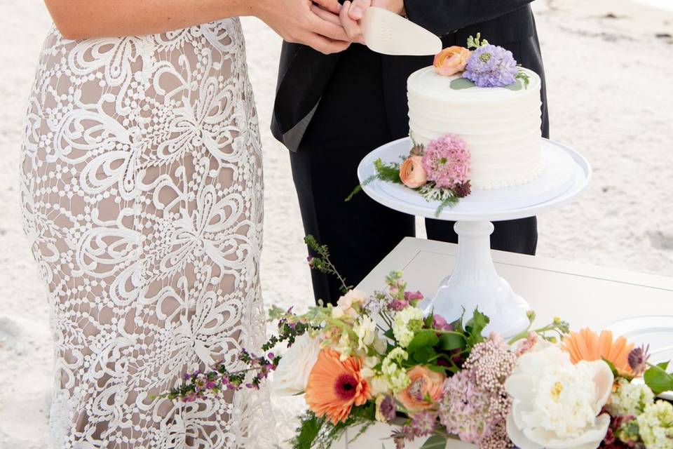 Couple cut into elopement cake