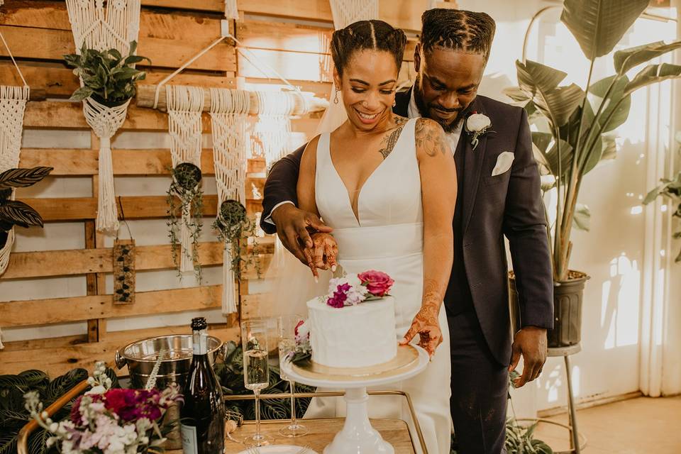 Cutting the Cake at Wild Roots