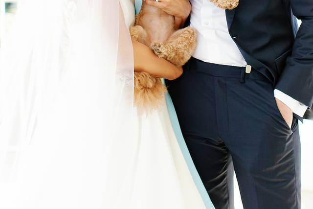 Couple with dog at wedding